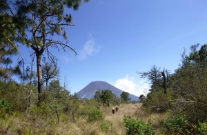 (Foto: Go2Guate)