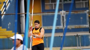 luis taracena