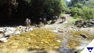 (Foto: Sin Rumbo)