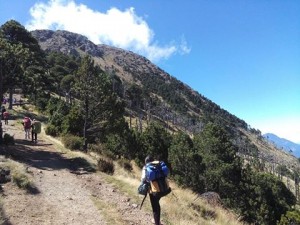 (Foto: Sin Rumbo)