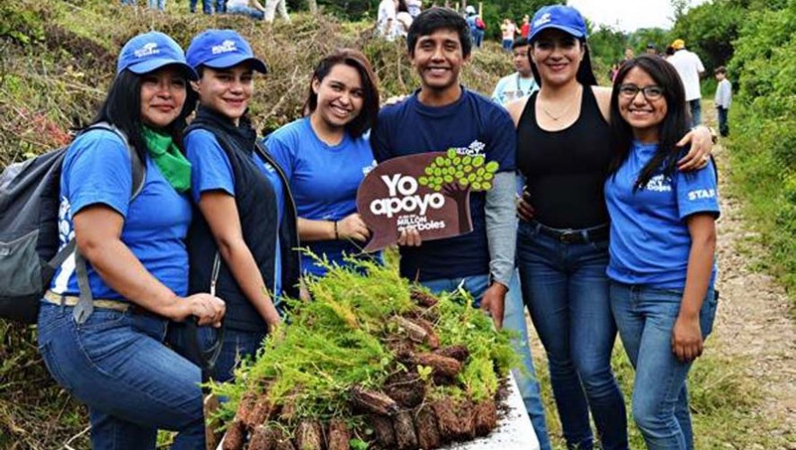 Buscan voluntarios para que sean parte del Día del Millón de Árboles 2017