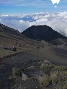 (Foto: Sin Rumbo)