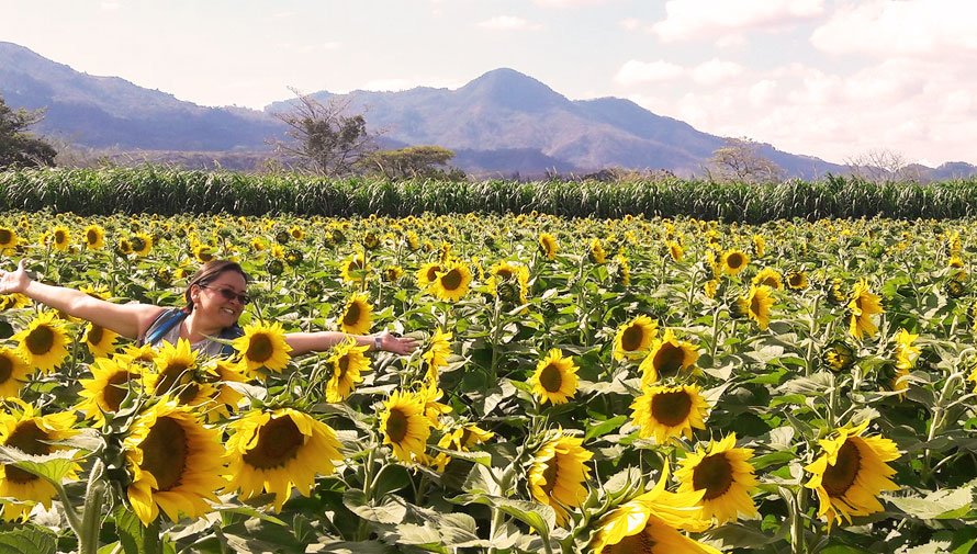 Finca de Girasoles
