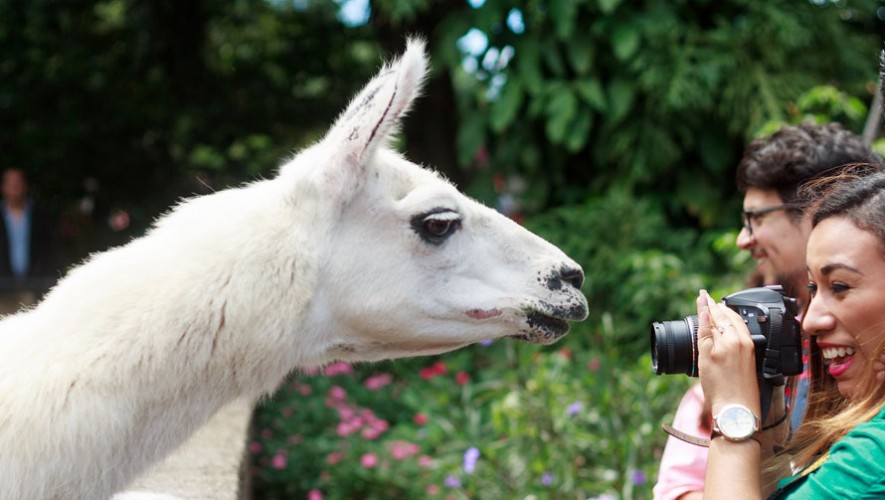 Recorrido VIP por el Zool&oacute;gico con El Club Fotogr&aacute;fico de Guatemala | Abril 2017