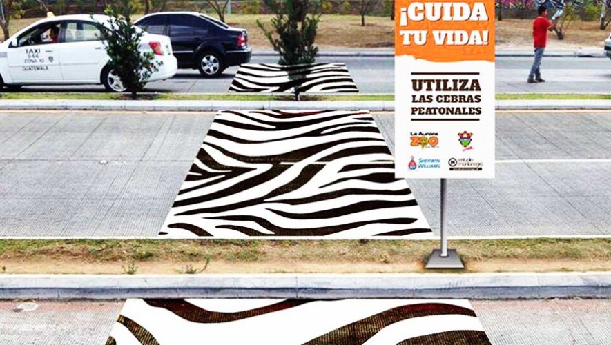Calles de la Ciudad de Guatemala con coloridos y creativos pasos peatonales