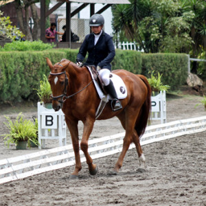 (Foto: Prensa ANEG)