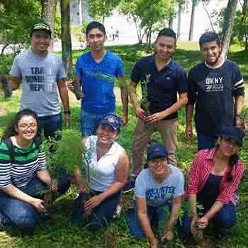 Buscan voluntarios para sembrar 50,000 árboles en Amatitlán