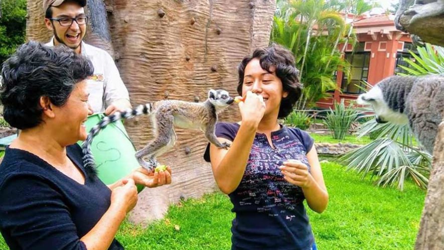 Convocatoria para ser voluntario en el Zoológico La Aurora