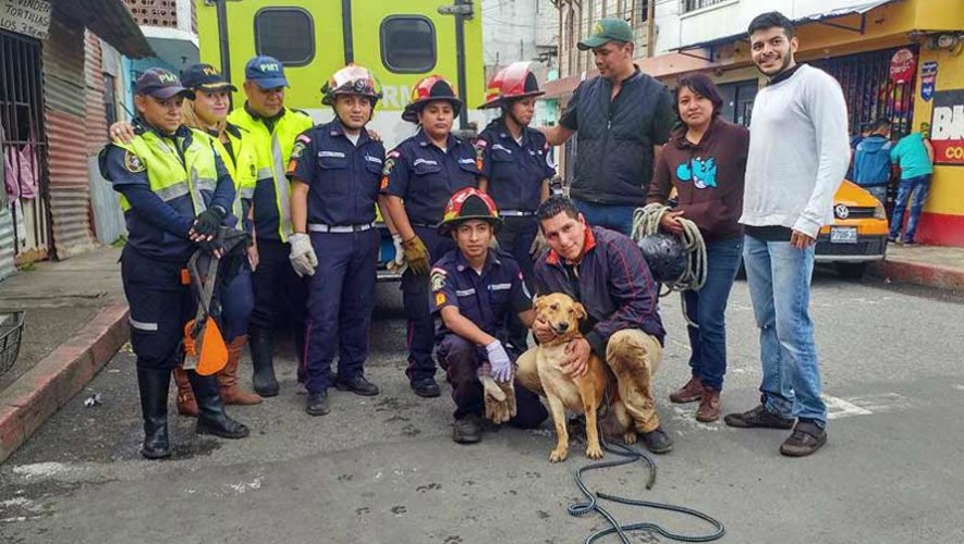 Guatemaltecos rescatan a perro que había caído en un barranco