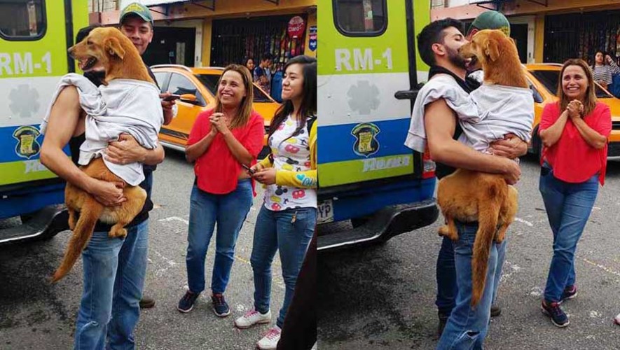 Guatemaltecos rescatan a perro que había caído en un barranco de Mixco