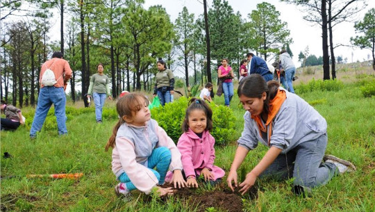 NatGeo ofrece financiamientos para proyectos de investigación de guatemaltecos