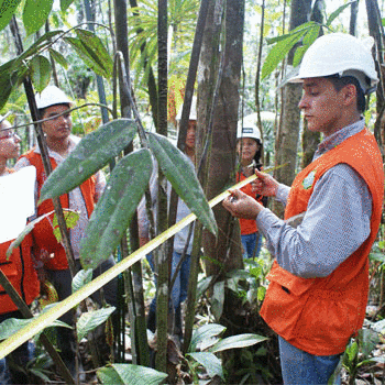 National Geographic otorga becas a guatemaltecos 