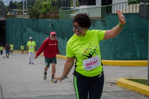 (Foto: Camino Seguro)