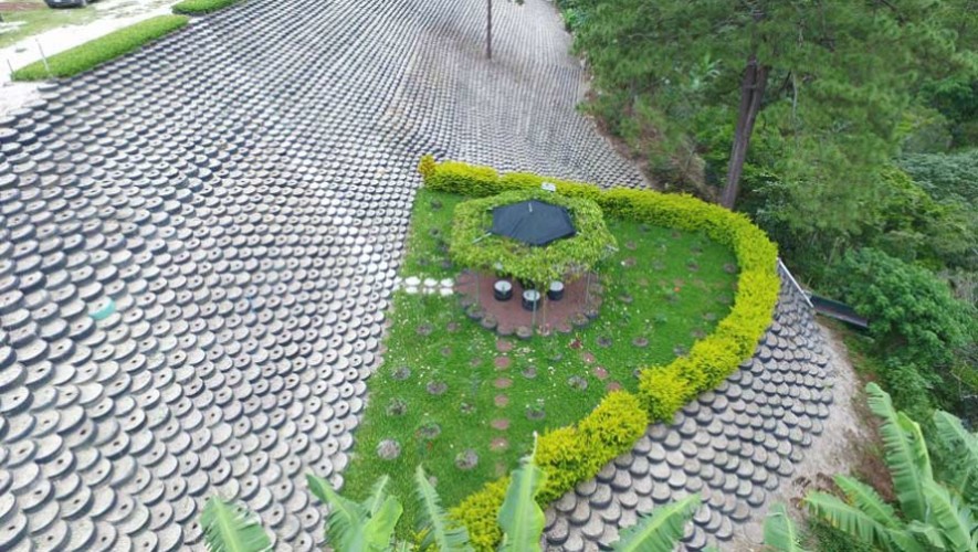 Conoce los girasoles del Muro Ecológico más grande de Guatemala