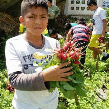 Escuela Oficial Rural Mixta Guillermo Magdaleno Batz González