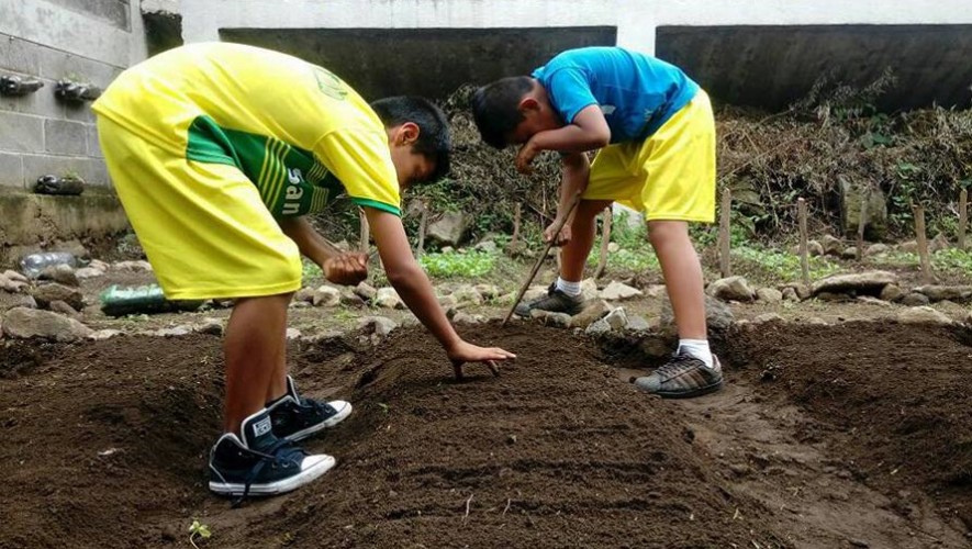 Estudiantes crean huertos ecológicos en escuelas de Sololá