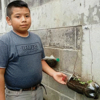 Estudiantes crean huertos ecológicos en escuelas de Sololá