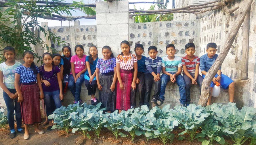 Estudiantes crean huertos ecológicos en escuelas de Sololá