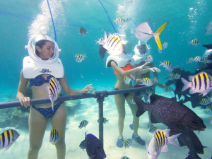 (Foto: Xel-Ha)