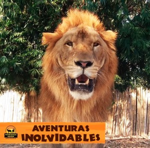 (Foto: Auto Safari Chapin)