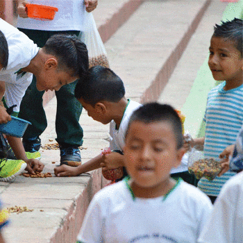 Estudiantes reparten comida para perros sin hogar en Baja Verapaz 2017