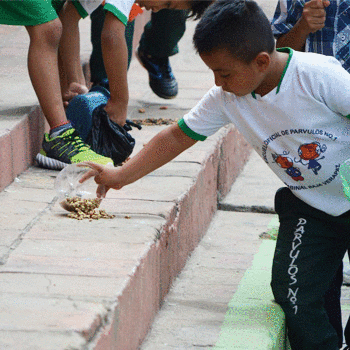 Estudiantes reparten comida para perros sin hogar en Baja Verapaz