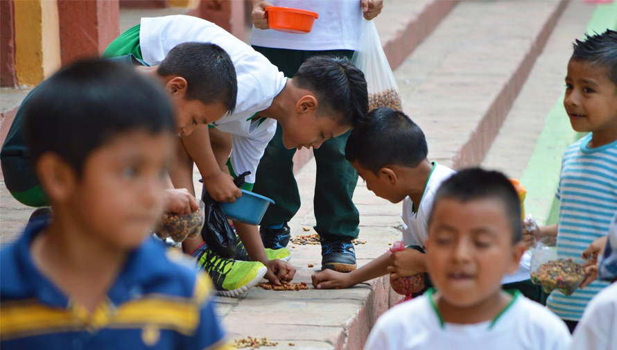 Estudiantes reparten comida para perros sin hogar en Baja Verapaz