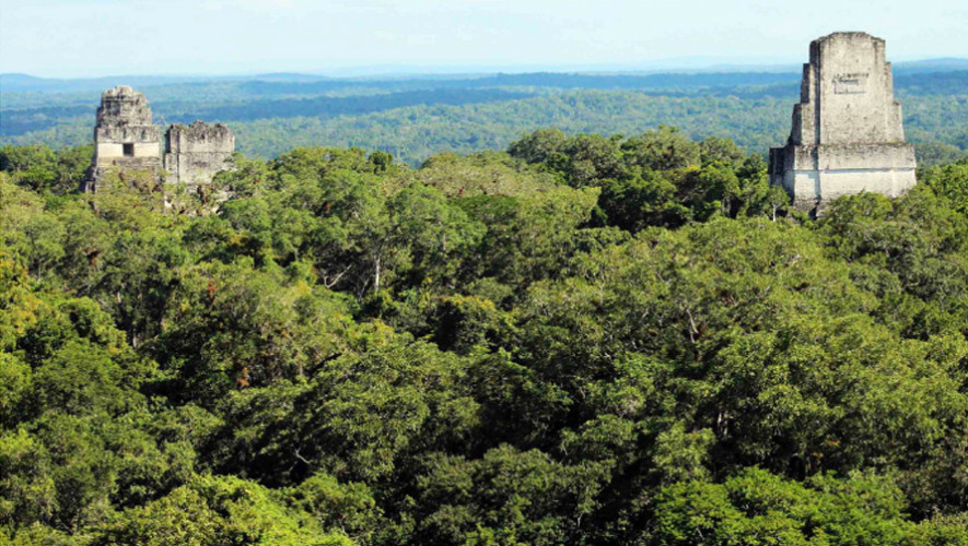 Tikal es uno de las zonas arqueológicas que te dejarán sin palabras