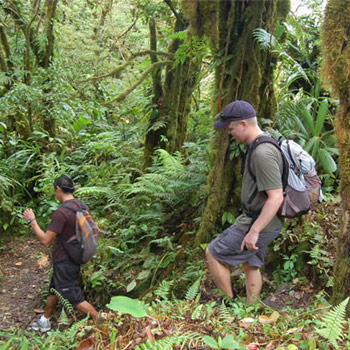 Trekking por la selva petenera