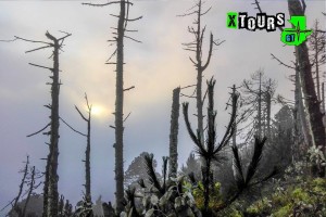 (Foto: X-Tours GT)