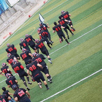 (Fotos: AFGA)