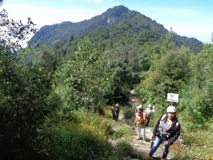 (Foto: LavaXpedition Gt)