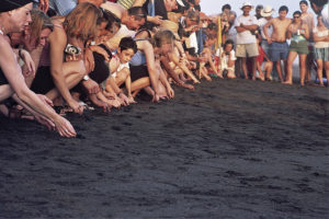 (Foto: Extraída de Flick, Perezt)