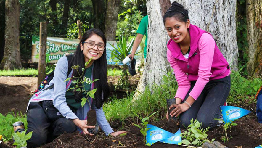 Buscan voluntarios para sembrar árboles en Guatemala, septiembre 2017