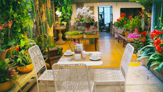 Café Mimí