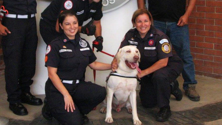 Drago el perro rescatista guatemalteco