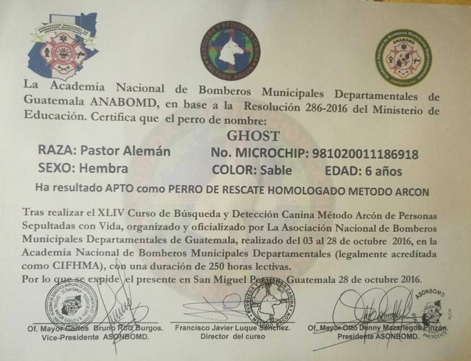 Ghost, la perra guatemalteca que apoyará a rescatistas en México