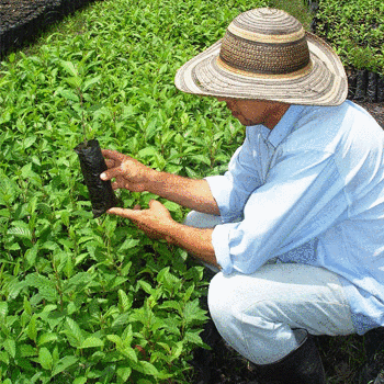 NatGeo ofrece financiamiento para ambientalistas guatemaltecos