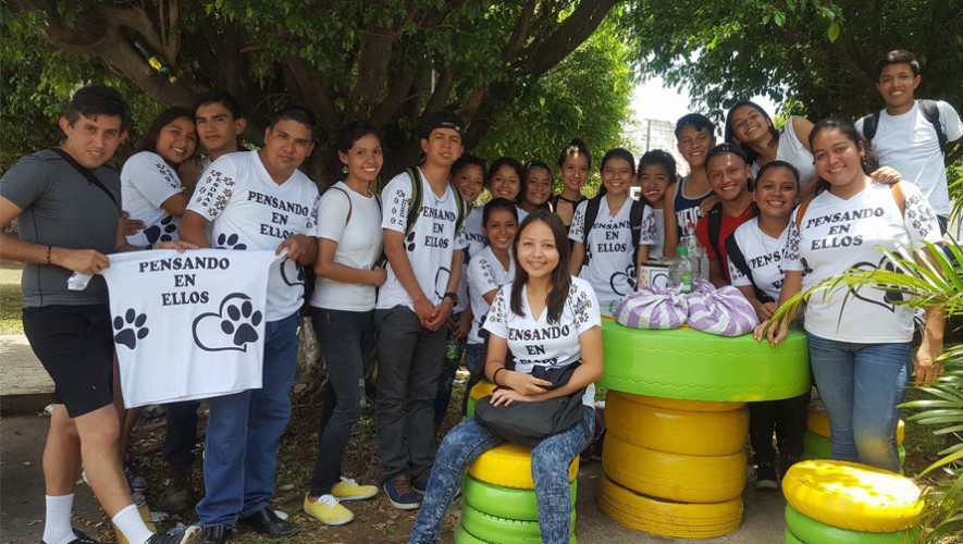 Reparten comida a perros de la calle en municipios de Retalhuleu, Guatemala