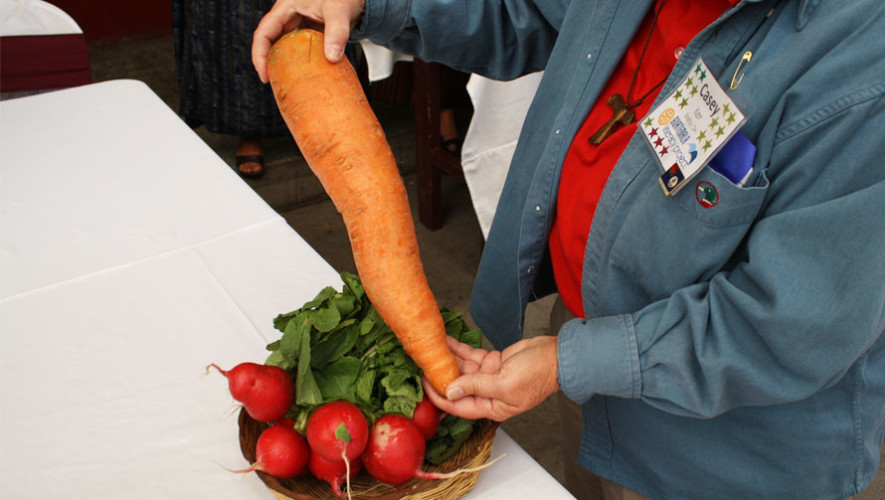 Verduras gigantes en Almolonga en Quetzaltenango