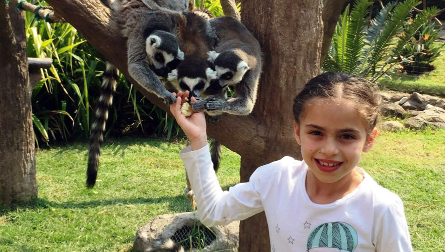 Celebración del Día del Niño en Zoológico la Aurora
