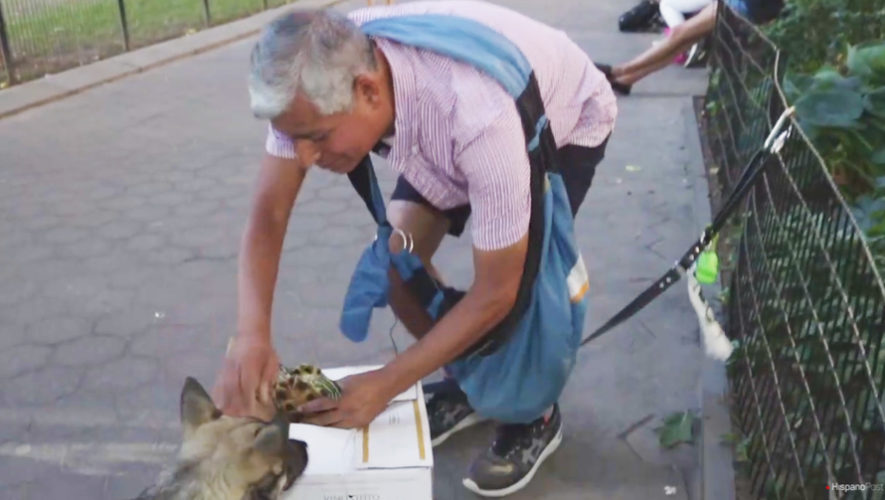 Carlos Rodríguez, el guatemalteco que salva a los animales en Nueva York