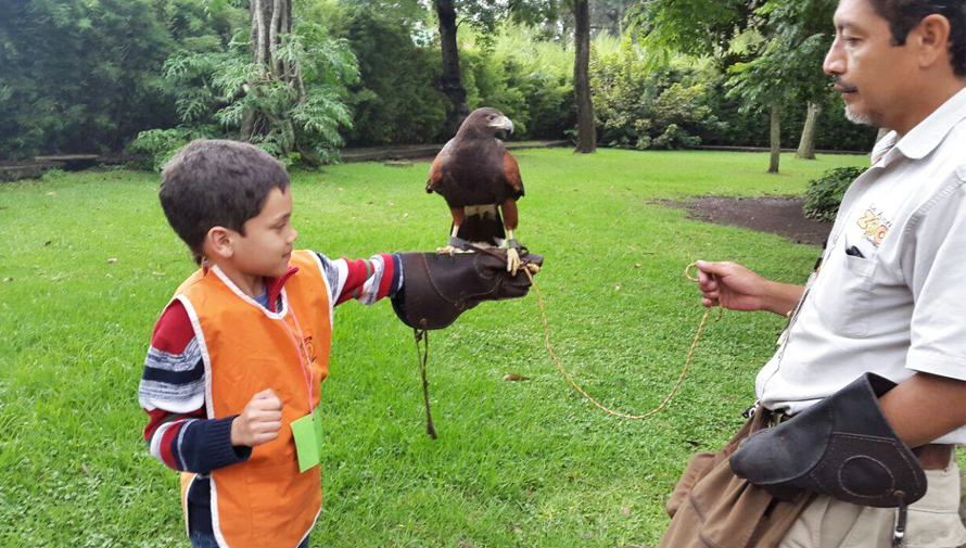 Cursos de vacaciones para niños en Ciudad de Guatemala, octubre 2017