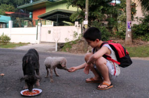(Foto: Schnauzi)