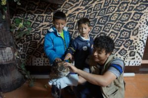 (Foto: Parque Zoológico Minerva, Quetzaltenango)