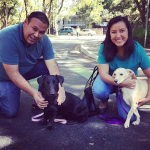 (Foto: AMA Asociación de Amigos de los Animales)