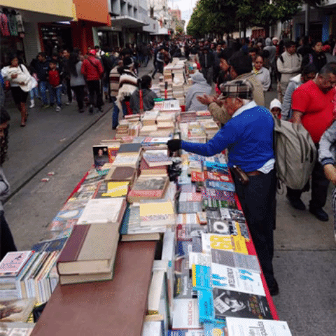 Feria Navideña del Libro en el Paseo de la Sexta 2017