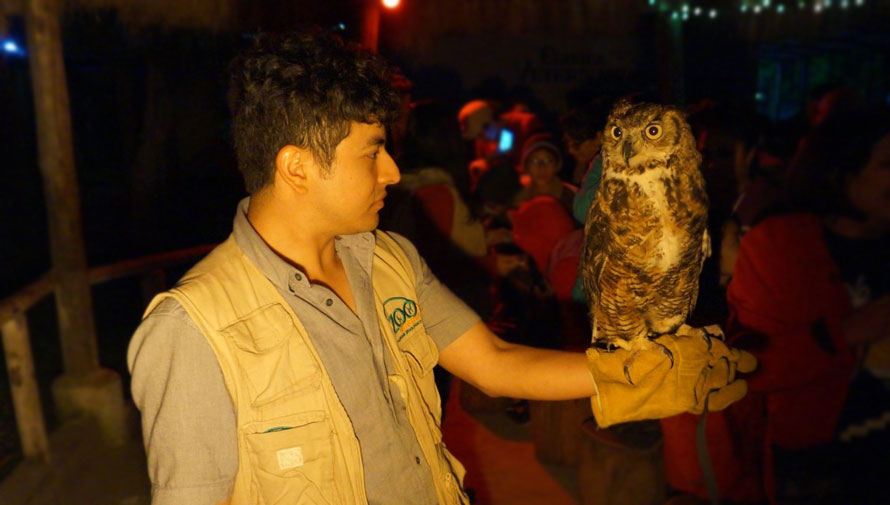 (Foto: Parque Zoológico Minerva, Quetzaltenango)