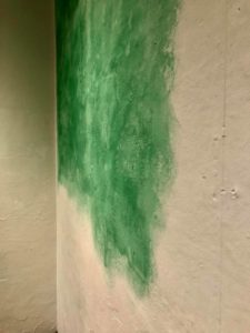 (Créditos: Proyecto Poporopo)