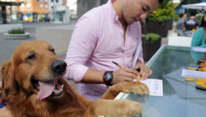 Feria de adopci&oacute;n de mascotas en Plaza Espa&ntilde;a | Agosto 2018